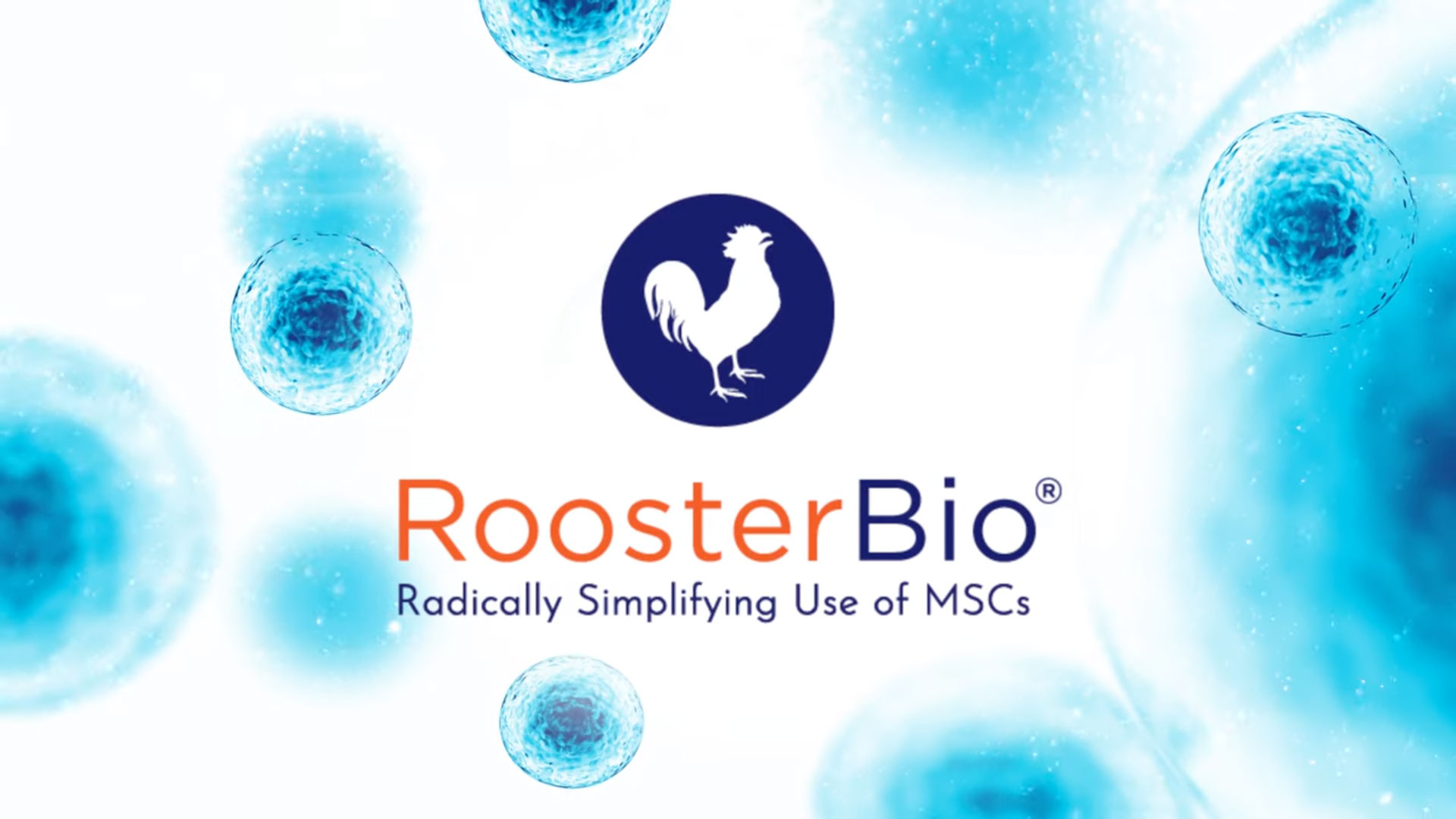 rooster-bio-tn